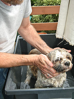 bath time for max