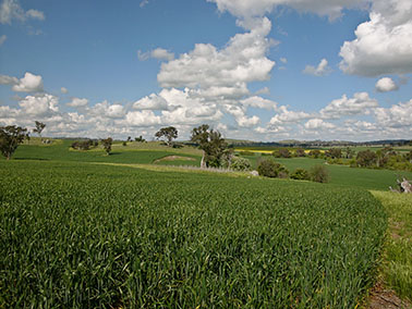 set amonst rolling fields
