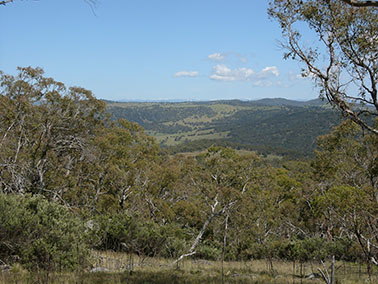 mountain view