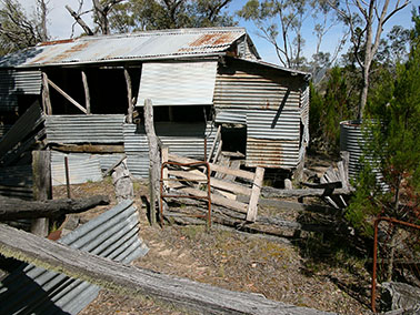 old shearing shed