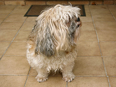 Max before