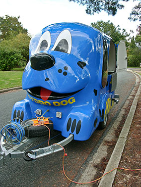 Big Blue Dog