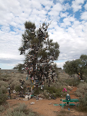 shoe tree