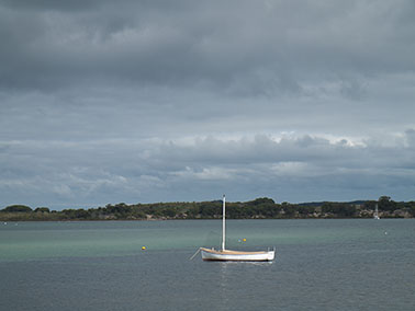 cat boat