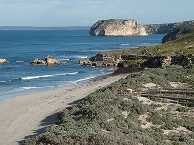 Seal Bay