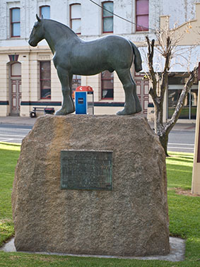 draught horse