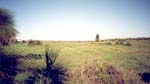 Bushblock