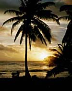 Cocos Island